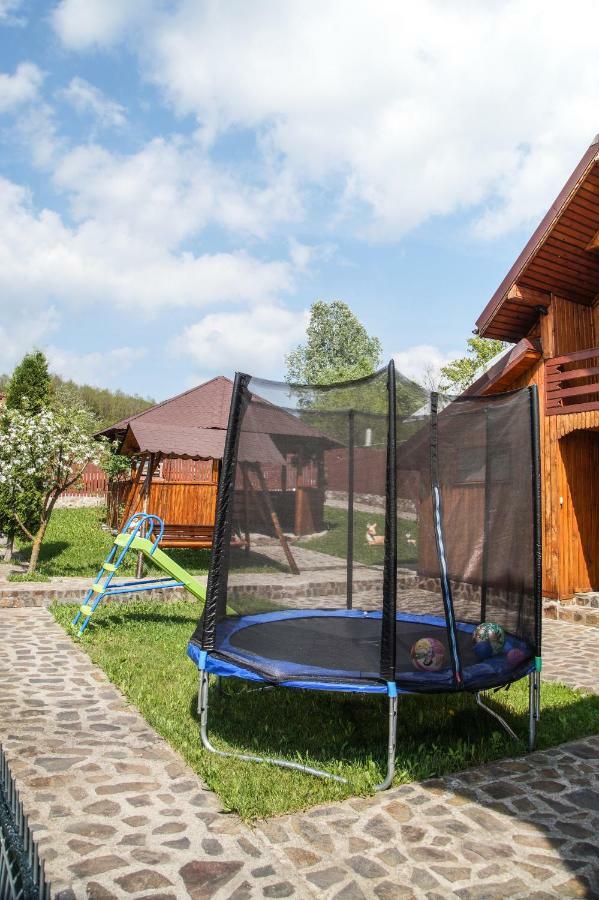 Pensiunea Nicol Hotel Valea Iasului Bagian luar foto