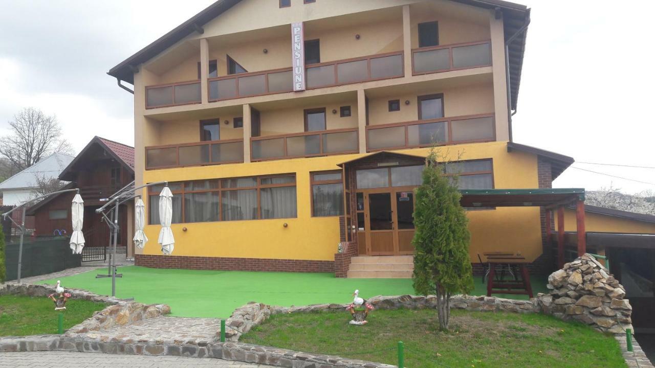 Pensiunea Nicol Hotel Valea Iasului Bagian luar foto
